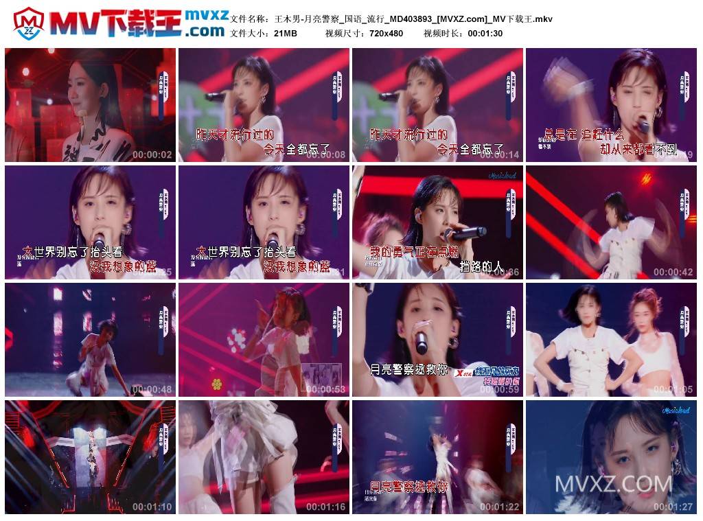 王木男-月亮警察_国语_流行_MD403893